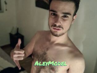 AleyModel