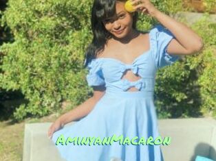 AminyanMacaron