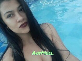 AnyMeel