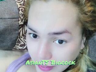 AsianTS_Bigcock