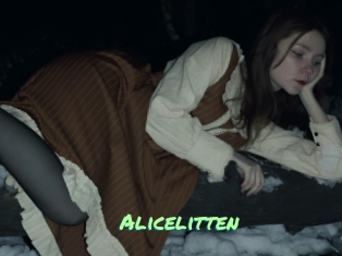 Alicelitten