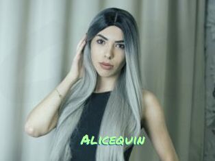 Alicequin