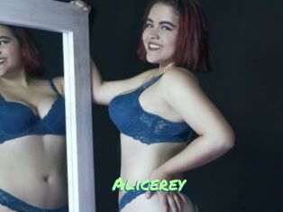 Alicerey