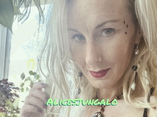 Alicesjungalo