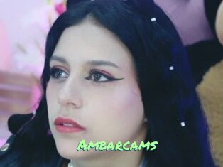 Ambarcams