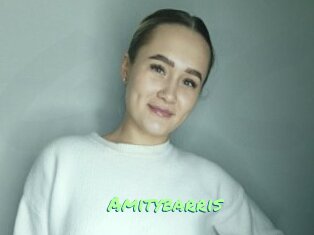 Amitybarris