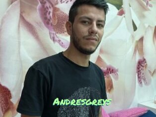 Andresgreys