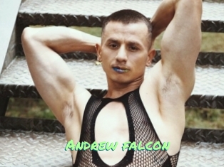 Andrew_falcon