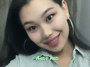 Andy_pnd