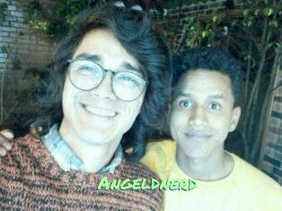 Angeldnerd