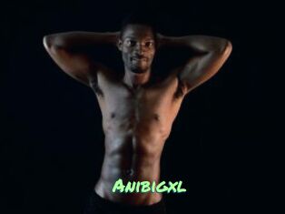 Anibigxl