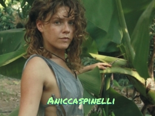 Aniccaspinelli