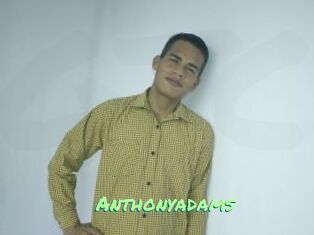 Anthonyadams