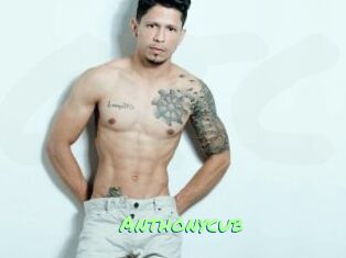 Anthonycub