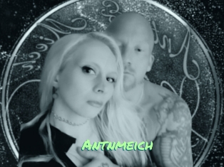 Antnmeich