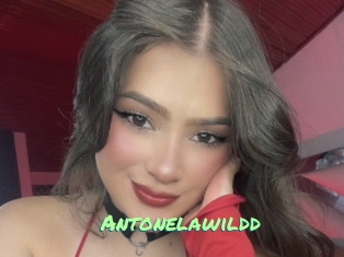 Antonelawildd