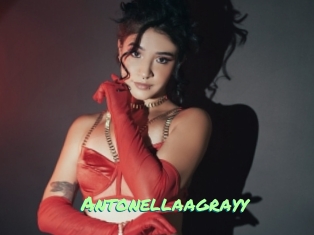 Antonellaagrayy