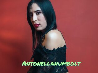 Antonellahumbolt