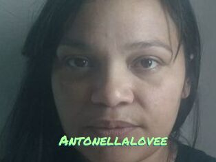 Antonellalovee