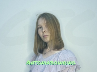Antoniabowring