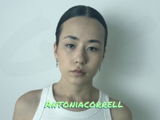 Antoniacorrell