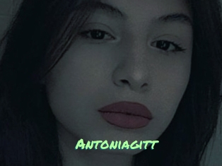 Antoniagitt