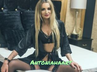 Antoniahaart