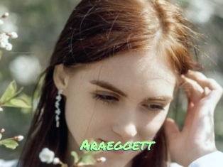 Araeggett