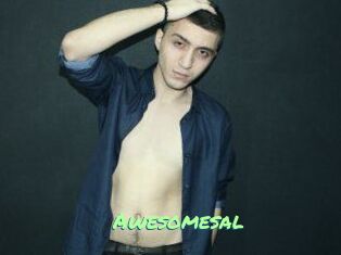 Awesomesal