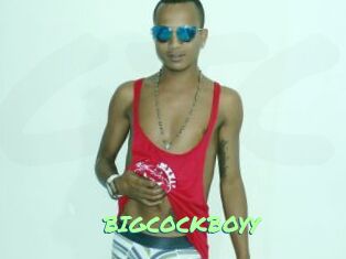 BIGCOCKBOYY