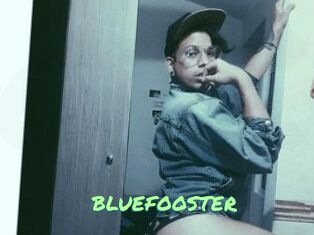 BLUEFOOSTER