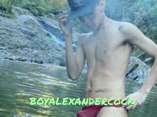 BOYALEXANDERCOCK