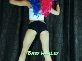 Baby_Harley