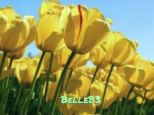 BelleB3