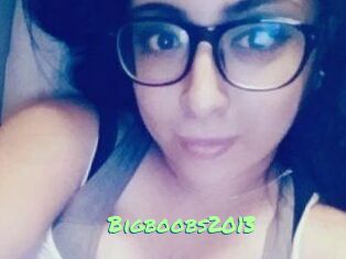 Bigboobs2013