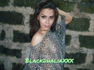 BlackDhaliaXXX