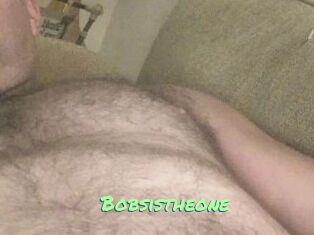 Bobsistheone