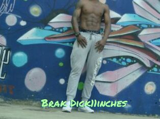 Brak_Dick11inches