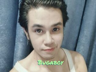 Bugaboy