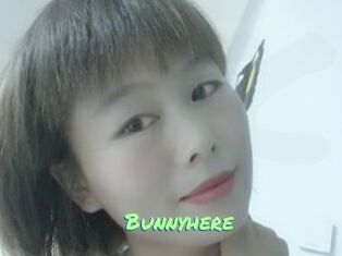 Bunnyhere