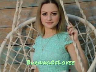 BurningOfLovee