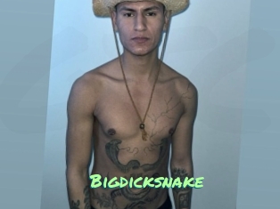 bigdicksnake Gothicorgien