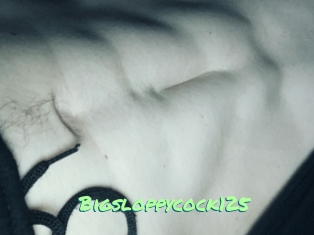 Bigsloppycock125