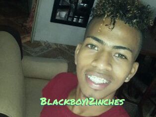 Blackboy12inches