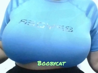Boobycat