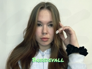 Breedevall