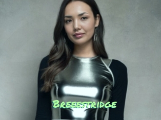 Breeestridge
