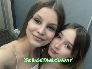Bridgetandsunniv
