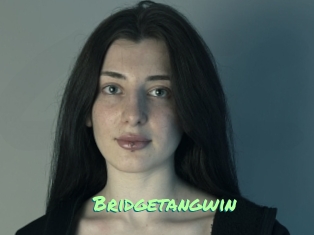 Bridgetangwin