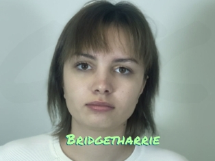 Bridgetharrie